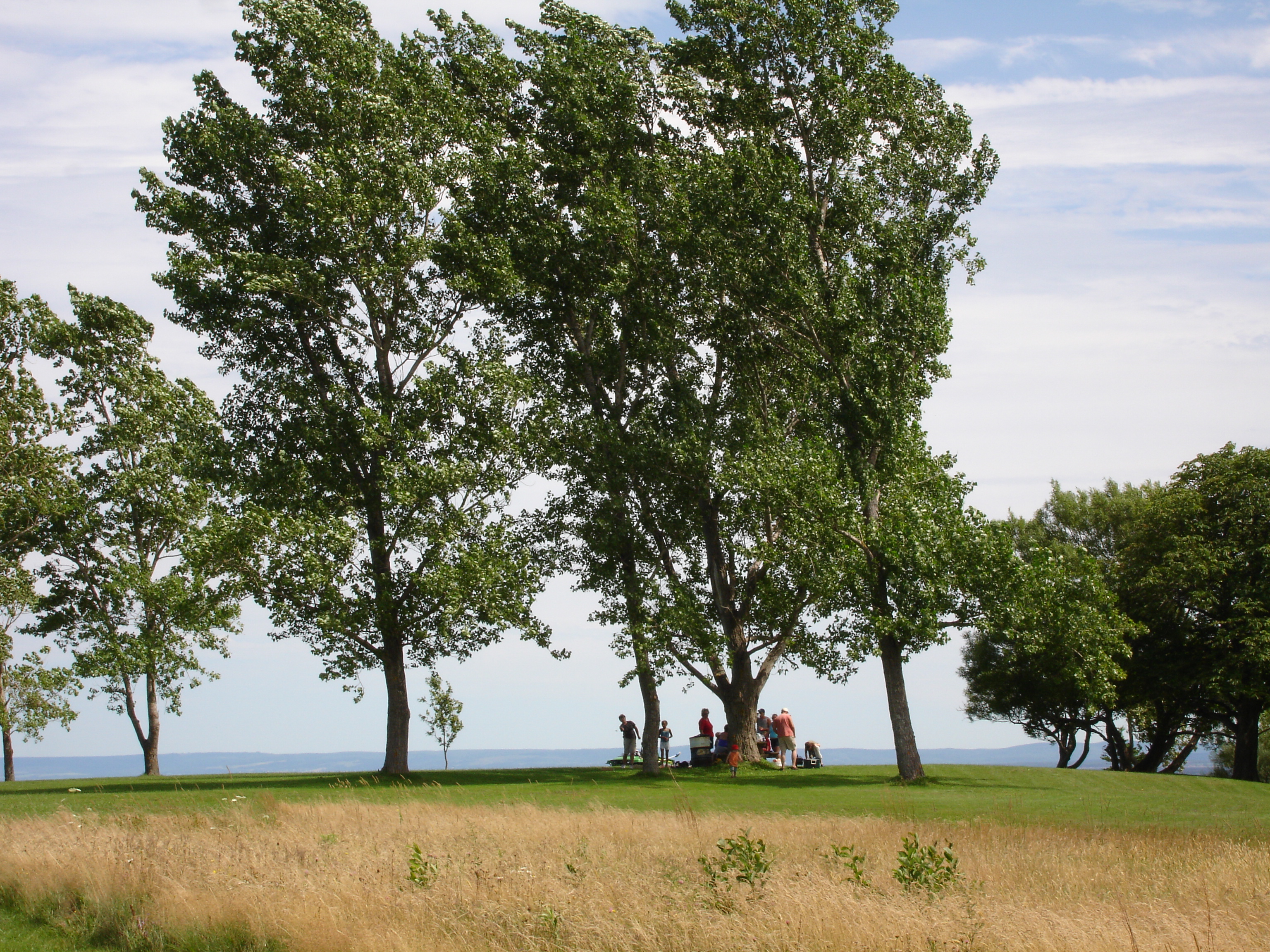 Caribou Munroes Island