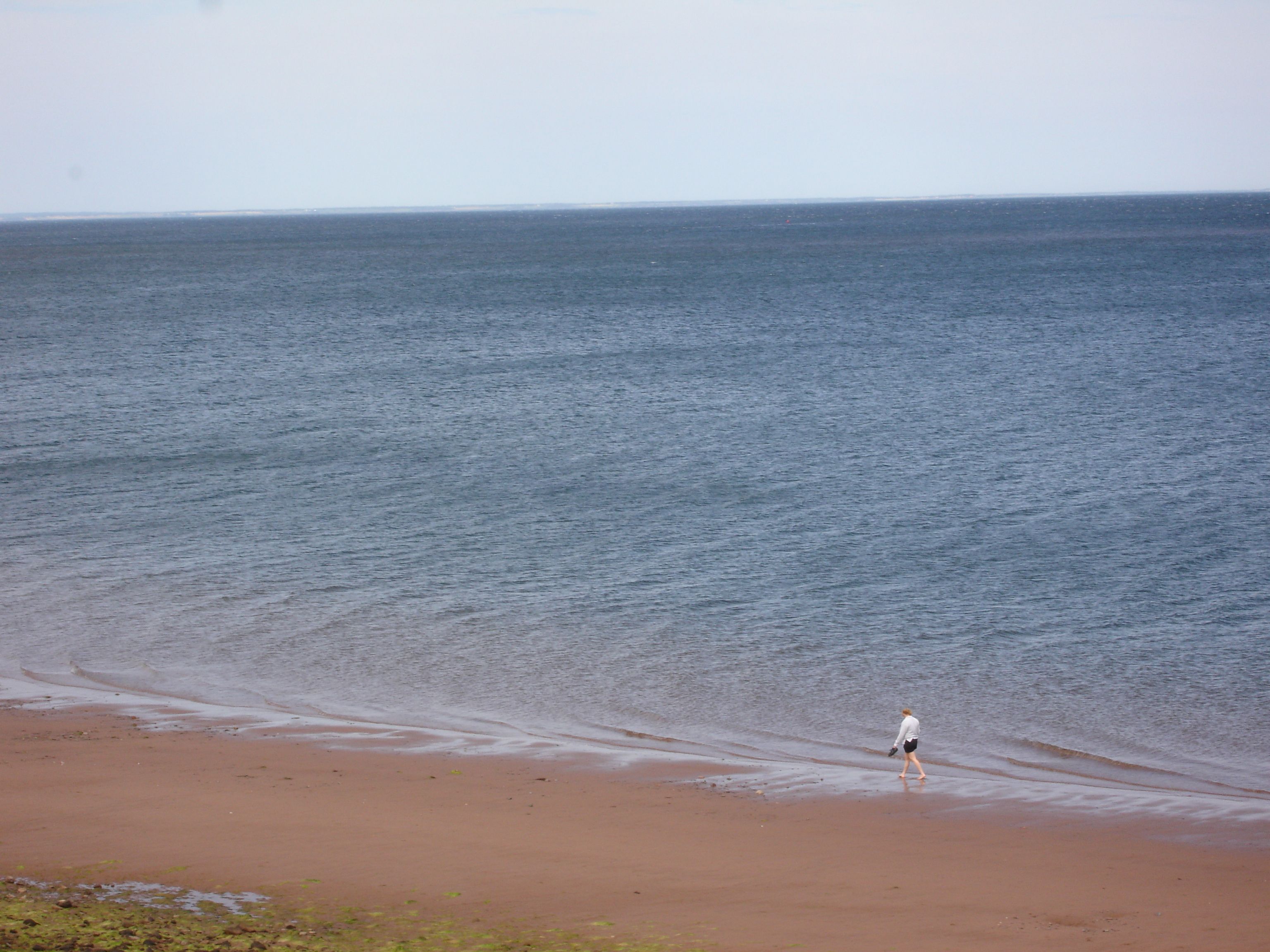 Caribou Munroes Island