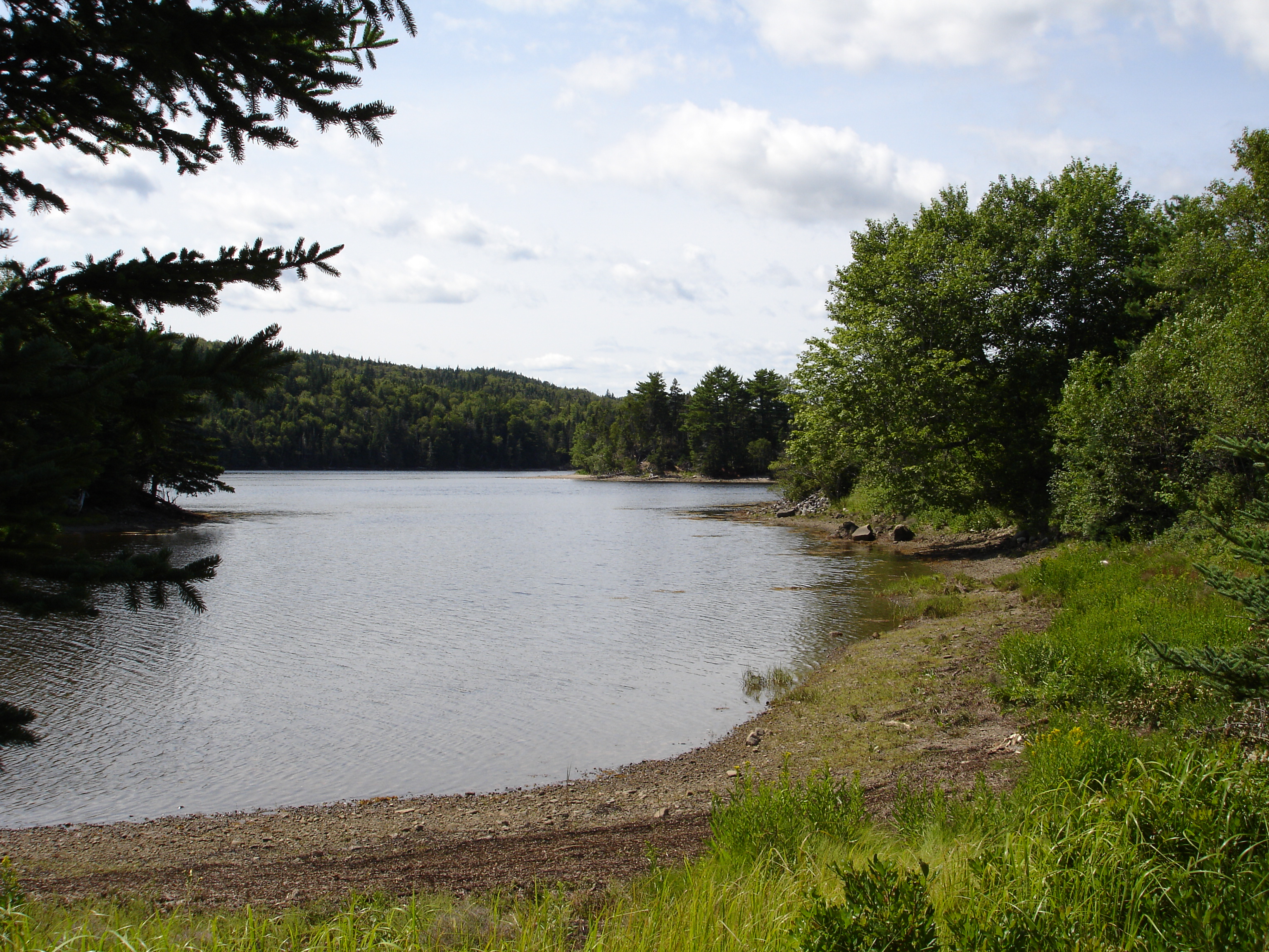 Lake shoreline at Salsman