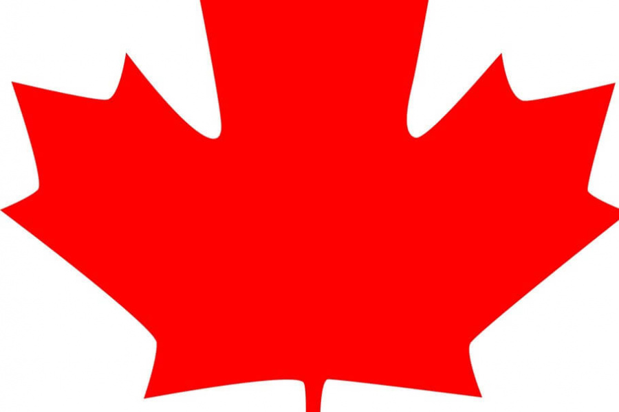 Maple Leaf Icon