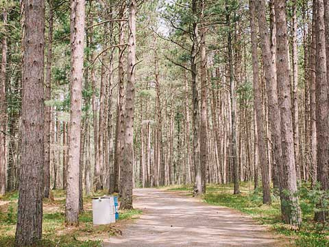 trail at Clairmont Park