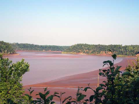 Caddell Rapids Lookoff