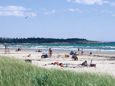 Beach at Clam Harbour