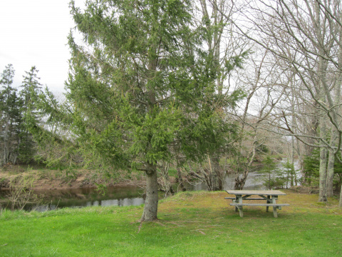 picnic table at Elderbank park