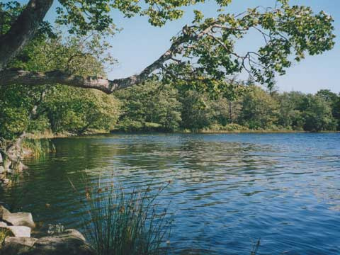 lake at Glenwood Park