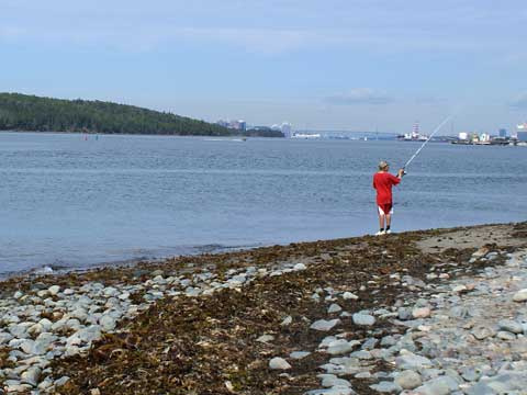 shoreline at MacCormack's Beach
