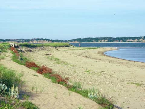 Beach at Port Hood Station
