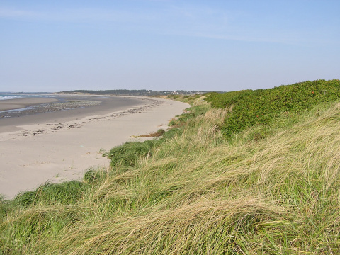 beach at Port Maitland