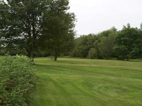 picnic area at Shinimicas park