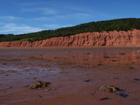 shoreline at Blomidon