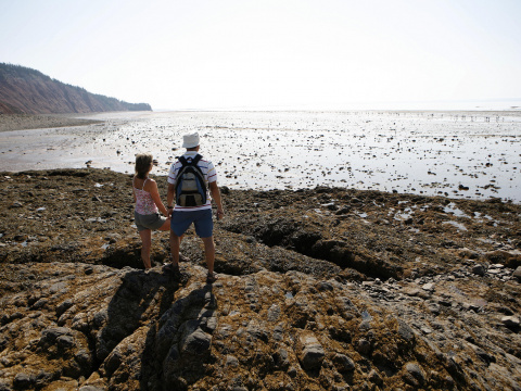 Mud flats at low tide
